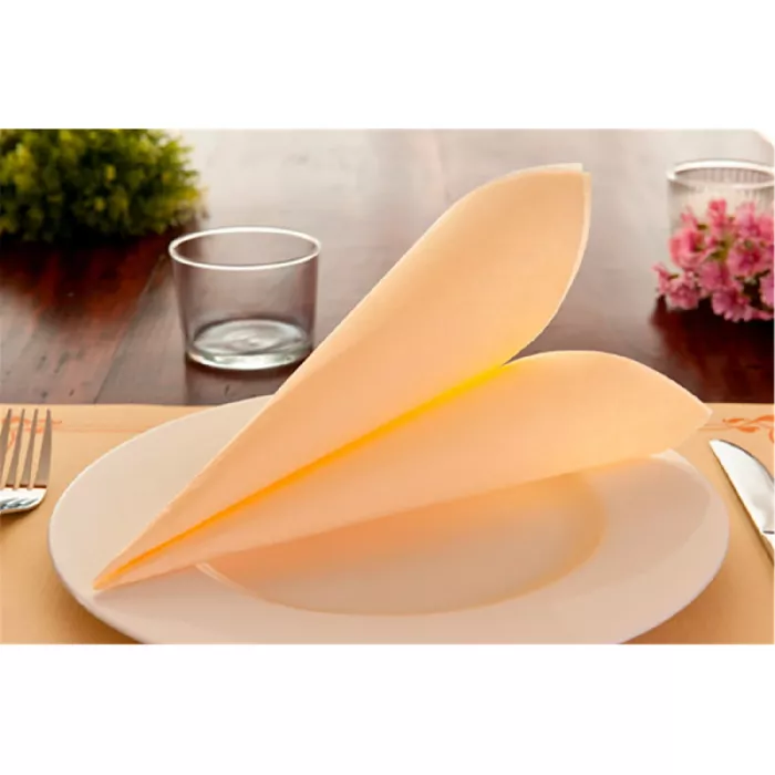 Servilletas ecolabel 'double point' 18 g/m2 39x39 cm marfil tissue (1200 unid.)